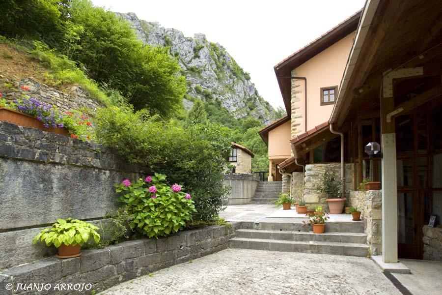 La Casona De Mestas Ponga 外观 照片